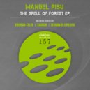 Manuel Pisu - The Spell of Forest