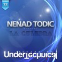 Nenad Todic - La Culebra (Miroslav Pavlovic Remix)
