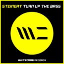 Steinert - Turn Up The Bass (Electro House Mix)