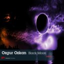 Ozgur Ozkan - Whatever
