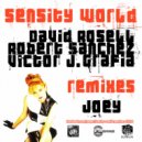 David Rosell & Robert Sanchez featuring Victor J. Grafia - Joey (Tech Mix)