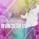 The Moodyfreaks & Donald Sheffey - Wonderful