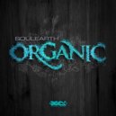 Soulearth - Organic (Original Mix)