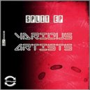 David Marin - Breguin (Original Mix)
