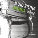 Mojo Rising - Artemis (Stormy Rayner Remix)