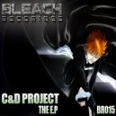 C & D Project - Take Your Loving Away (Original Mix)