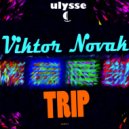 Viktor Novak - Storm (Original Mix)