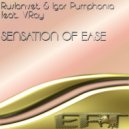 Ruslan-Set & Igor Pumphonia feat. V.Ray - Sensation Of Ease (Roo-Kee Krew-Kee Remix)