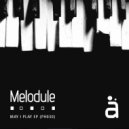 Melodule - Biu T