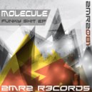 Molecule - The Strong (Original Mix)