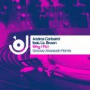 Andrea Carissimi feat. LT Brown - Why (Groove Assassin Instr. Remix)