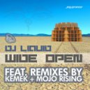 Dj Liquid - Hit It