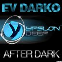 EV Darko - Twin Vibes (Original Mix)