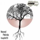 Hooved - Pink\'nda (Micha Klang Remix)