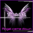 Tosch Ltd. - Angel Came Down (Daniel Slam Remix)