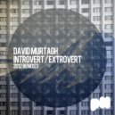 David Murtagh - Introvert / Extrovert 2012 (Gary Optim presents Head Swap Remix)