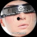 Flash Grey - Need You