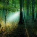 Reality Sandwich - Secret Garden (Mysteries of Japan Rmx)
