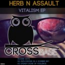 Herb N Assault - Explosions In A Somber Sky