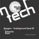 Reagan - Flash