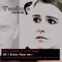 Paul Vinitsky & Lo-Fi Sugar - All I Know Now (Oleg Espo Remix)