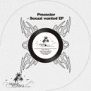 Pmonster - Sexual Assistance (Original Mix)