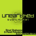 Rinat Shabanov & Pavel Polyakov - Anima (Solid Stone\'s On The Beach Remix)