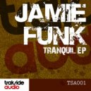 Jamie Funk - Dont Come Around
