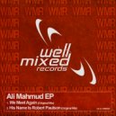 Ali Mahmud - His Name Is Robert Paulson