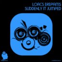 Loacs Erepams - Suddenly It Jumped (Nicholas D Remix)