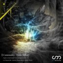 Calla Soiled - Community (Shintaro Remix)