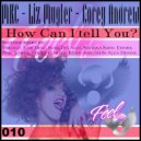 Mkc, Liz Mugler, Corey Andrew - How Can I Tell You? (Josep Arrom & Alex Denne Remix)