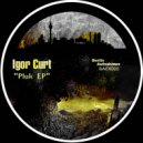 Igor Curt - Pluk (Original Mix)
