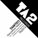 Tamteo - Dancefloor Nation (Garuso Remix)