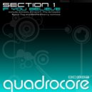 Section 1 - If You Believe