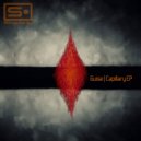 Guise - Capillary