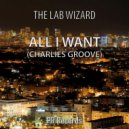 The Lab Wizard - All I Want (Charlies Groove) (Amir Hakim Remix)