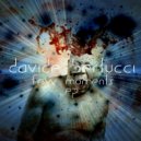 Davide Bertucci - Runnings