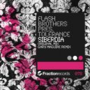 Flash Brothers Pres. Tolerance - Siberdia (Gary Maguire Remix)
