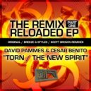 David Pammes & Cesar Benito - Torn (Scott Brown Remix)
