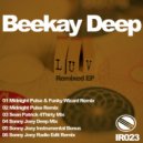Beekay Deep - Luv (Sean Patrick 4Thirty Mix)