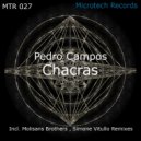 Pedro Campos - Chacras (Molisans Brothers Sexy Bitch Remix)