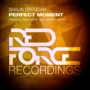 Shaun Greggan - Perfect Moment (Dub Mix)