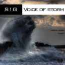 S1G - Voice of Storm