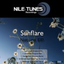 Sunflare - Central Park (Viceverse Remix)