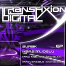 Burak Harsitlioglu - Irreversible