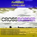 Awakenas - Wonderful Night (Dzim Remix)