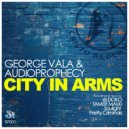 George Vala & Audioprophecy - City In Arms (Tamer Malki Remix)