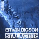 Q\'Bass Pres. Erwin Digson - Stalactite (Duncan Remix)