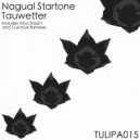Nagual Startone - Try\'n To Run Away (Original Mix)